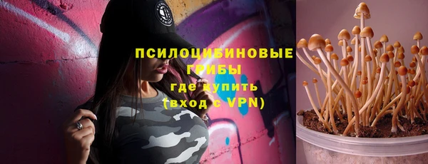 гидропоника Алзамай