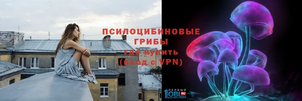 ПСИЛОЦИБИНОВЫЕ ГРИБЫ Алексин