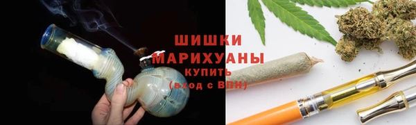 гидропоника Алзамай