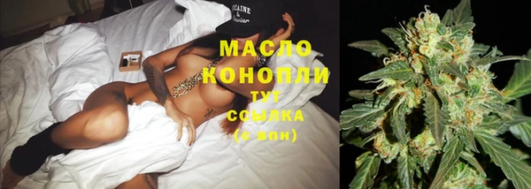 гидропоника Алзамай