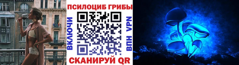 Галлюциногенные грибы Psilocybe  Волгодонск 